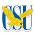 拉萨尔大学